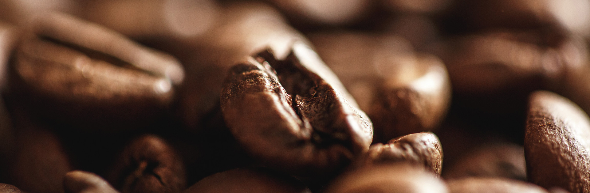 kaffee-stage-2.jpg