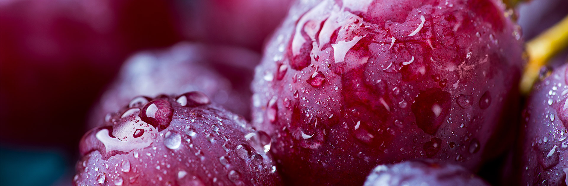wine-stage.jpg